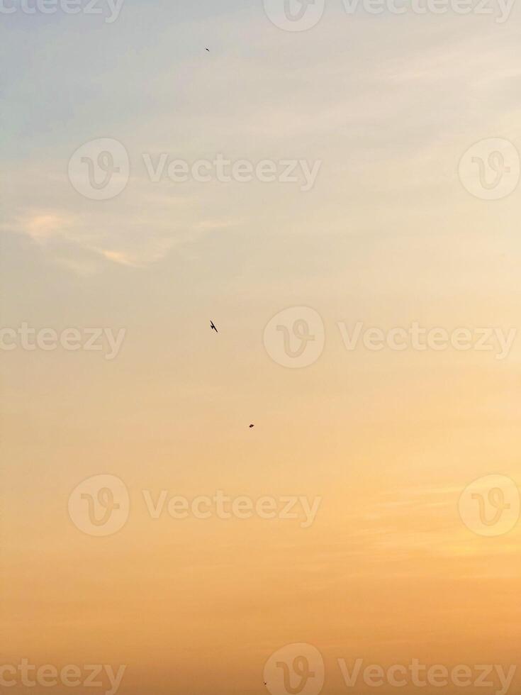 Golden Sky at Dusk with Birds in Flight Background Tranquil Sunset photo