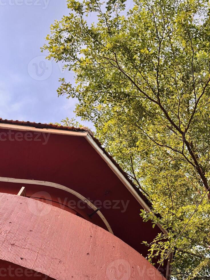 Red Building and Tree Against Blue Sky photo