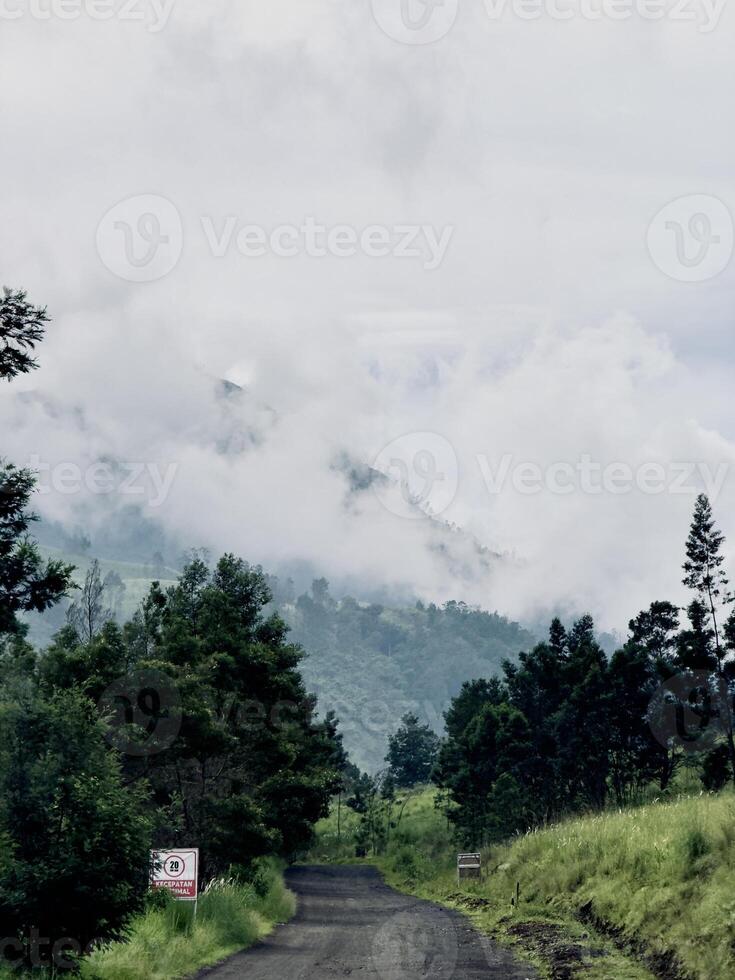 Misty Mountain Road Through Lush Greenery. Kawah Wurung Ijen Geopark, Indonesia photo