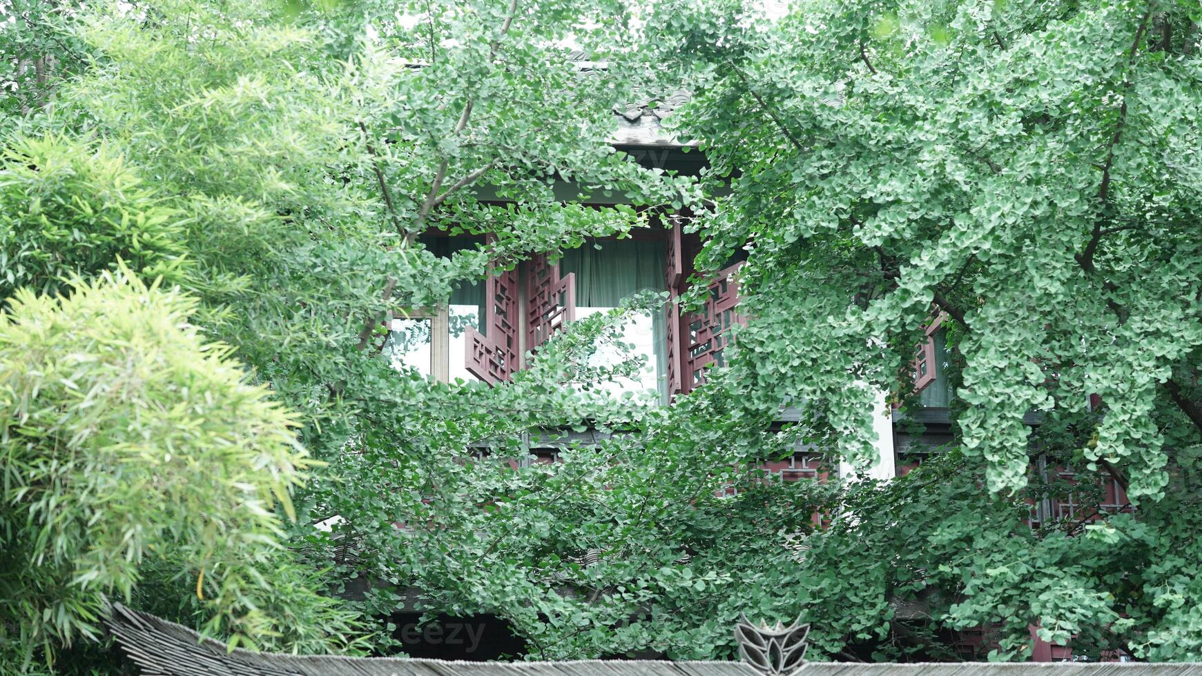The classical Chinese garden view photo