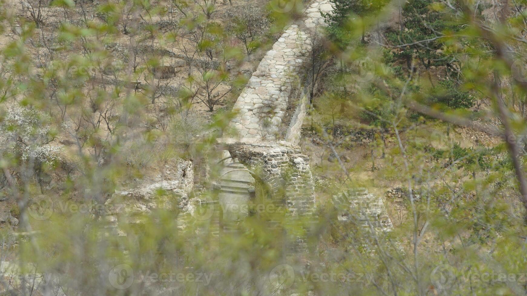 The broken watching tower in spring photo