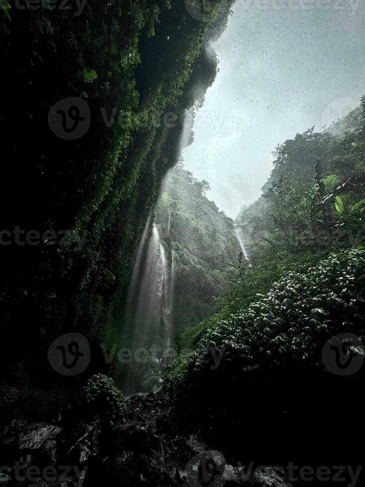 Overcast Sky and Waterfall in Lush Greenery. Madakaripura waterfall Probolinggo photo