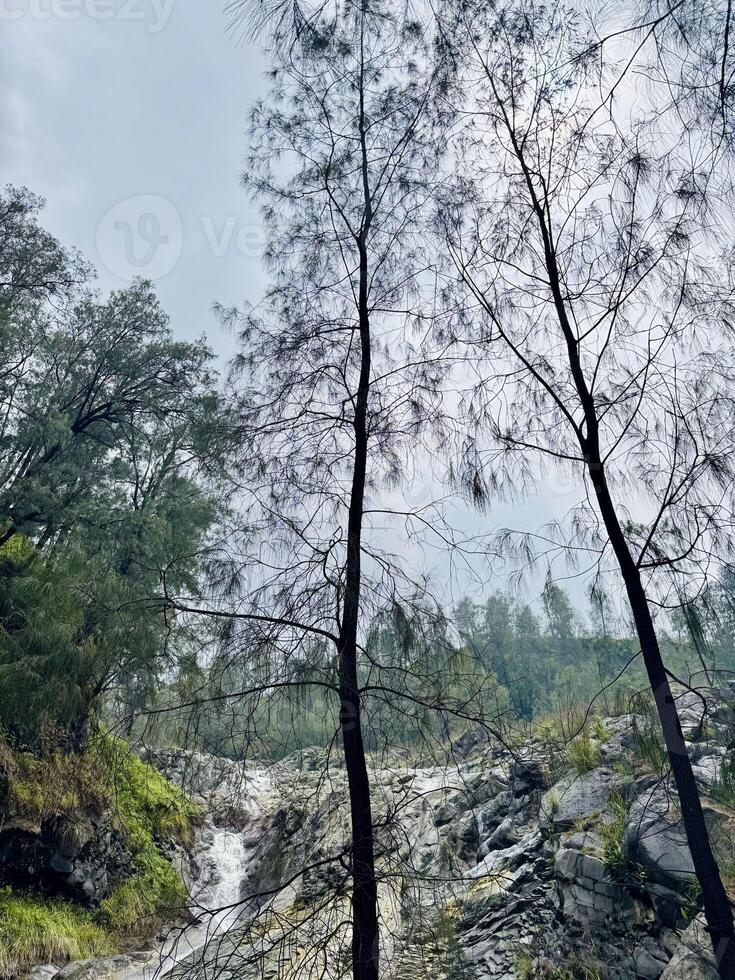 Waterfall and Trees in Rocky Landscape. Kalipait Waterfall Ijen Geopark. photo