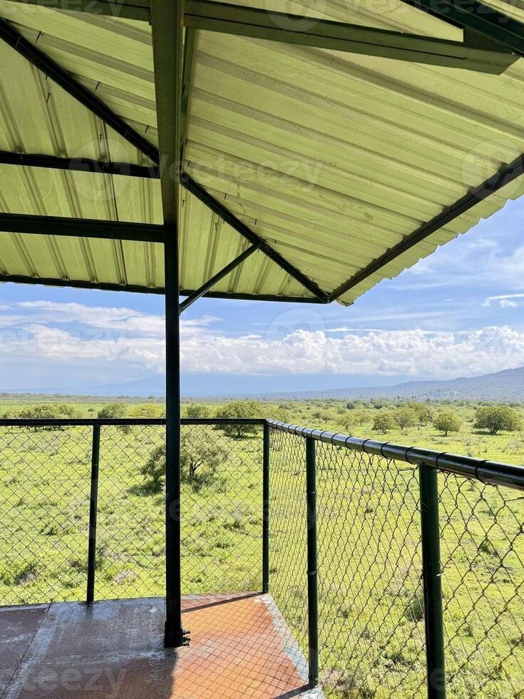 Scenic View from Observation Deck Overlooking Green Landscape. Baluran National Park Situbondo. photo
