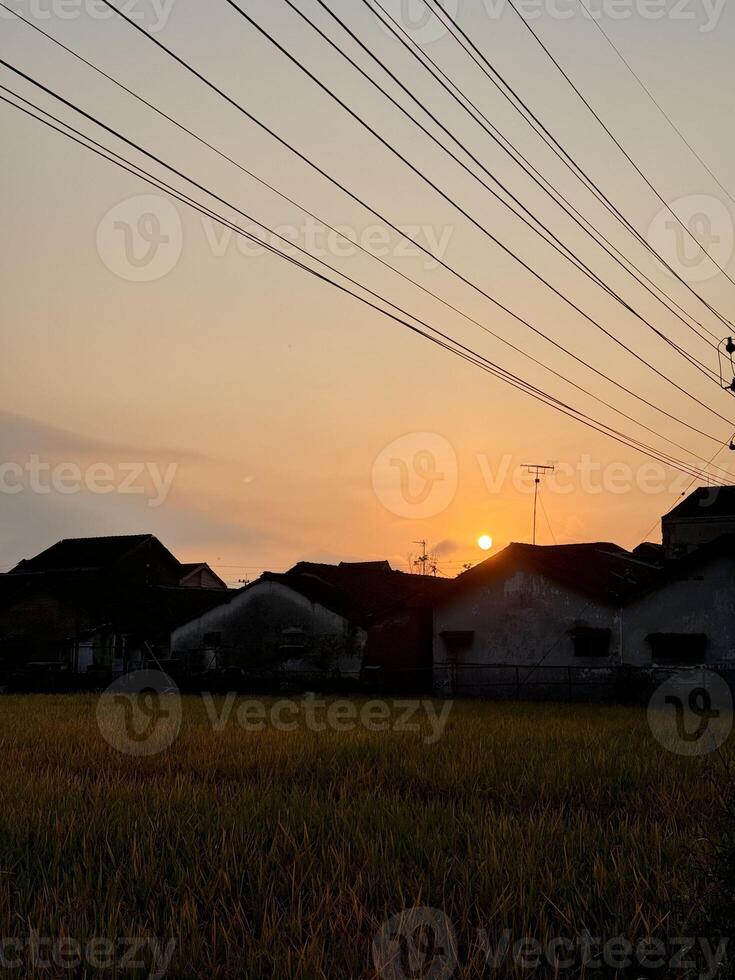 Golden Sunset Over Rustic Village and Rice Field with Overhead Wires photo