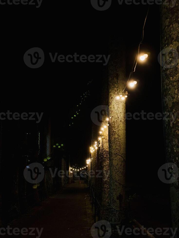 Cozy Night Pathway with String Lights photo
