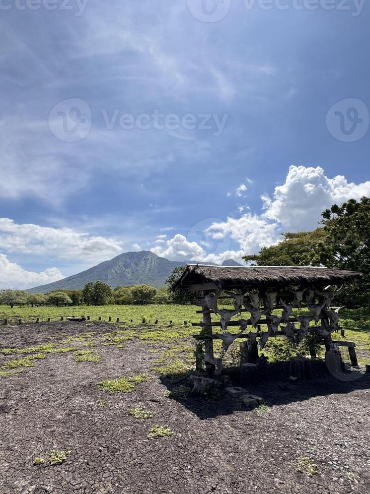 Scenic Mountain View with Rustic Wooden Structure. Baluran National Park Situbondo. photo