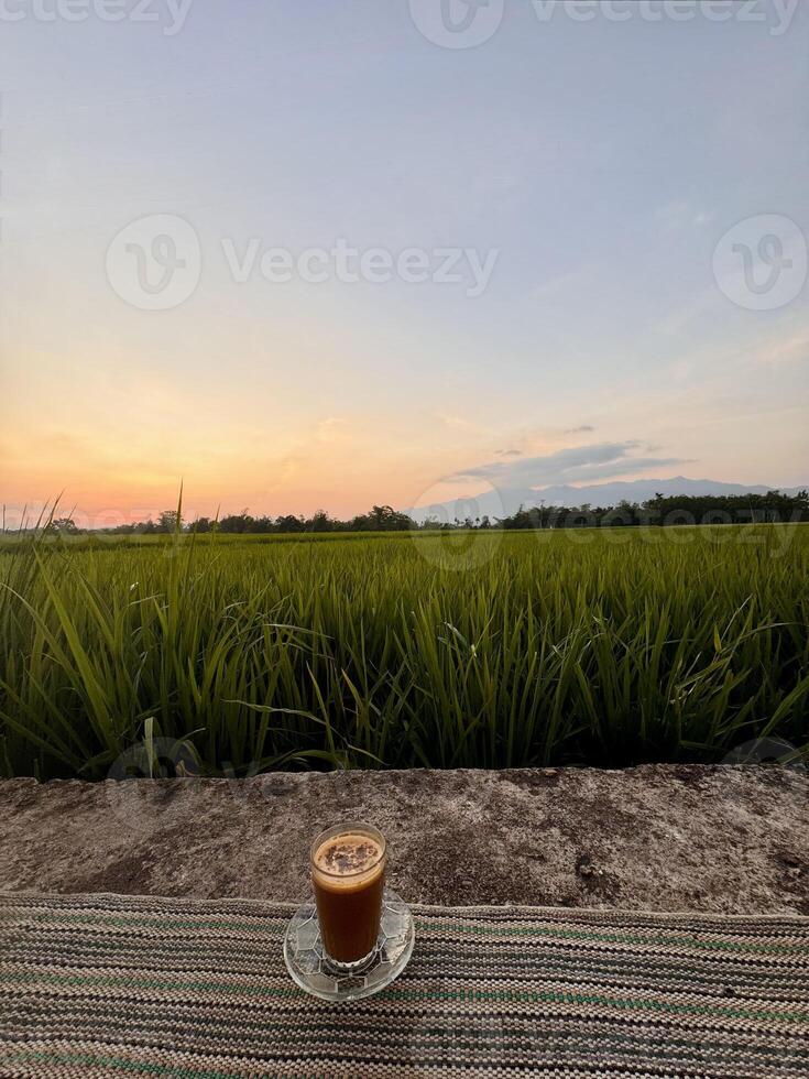 Iced Coffee at Sunset Over Rice Field photo
