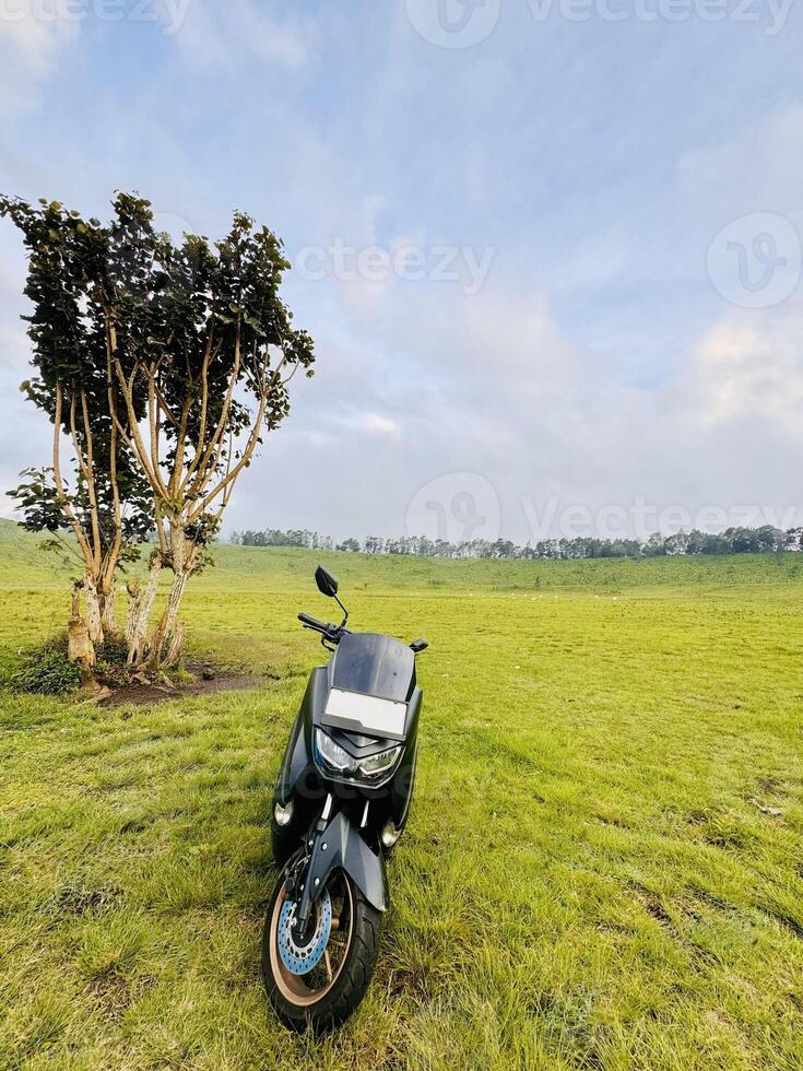 Black Motorcycle in a Green Field photo