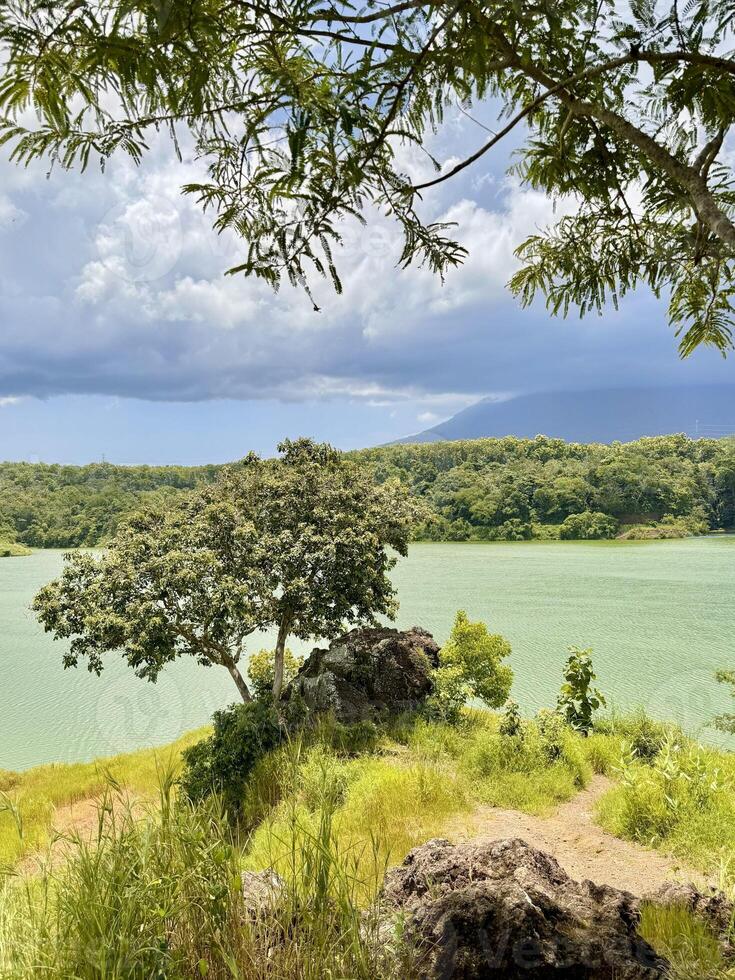 Lush Landscape with Lake and Mountains. Bajulmati Dam Situbondo photo