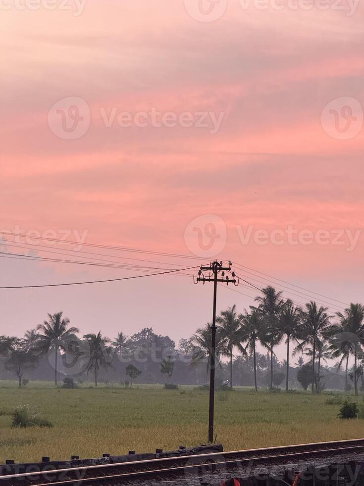 Railway Tracks at Sunset with Electric Poles and Lush Rice Fields photo