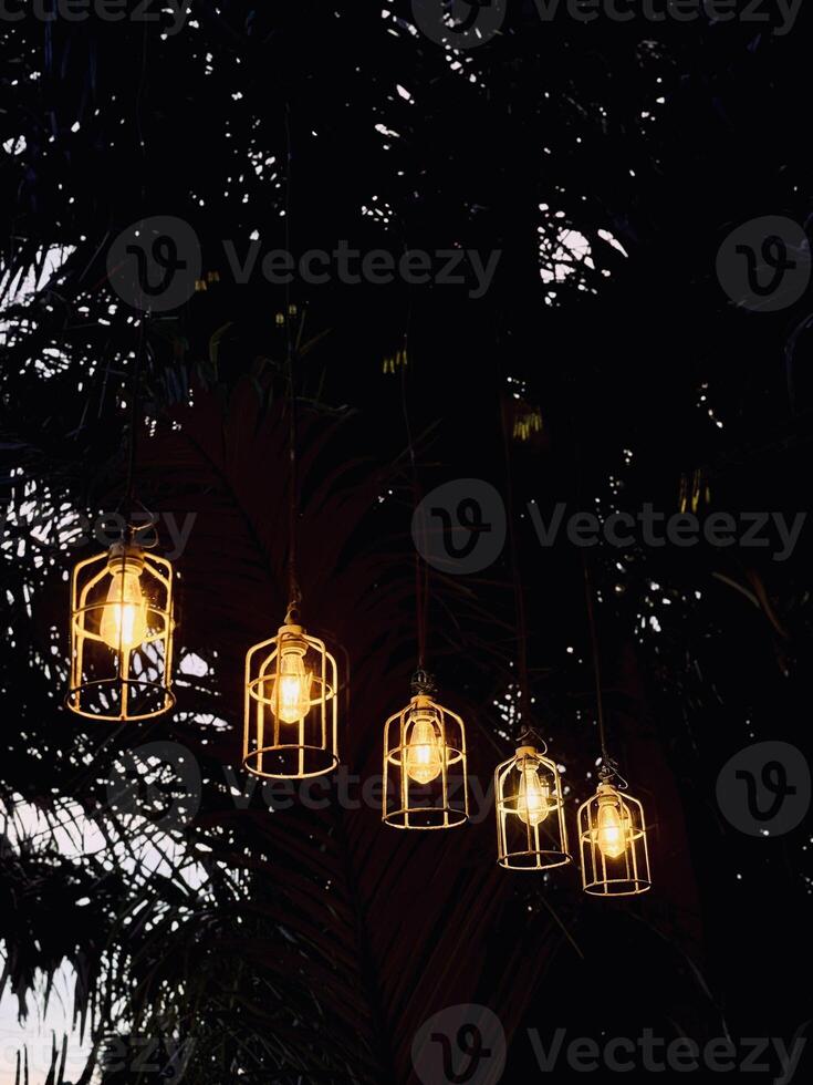 Hanging Lanterns Against Dark Palm Leaves photo