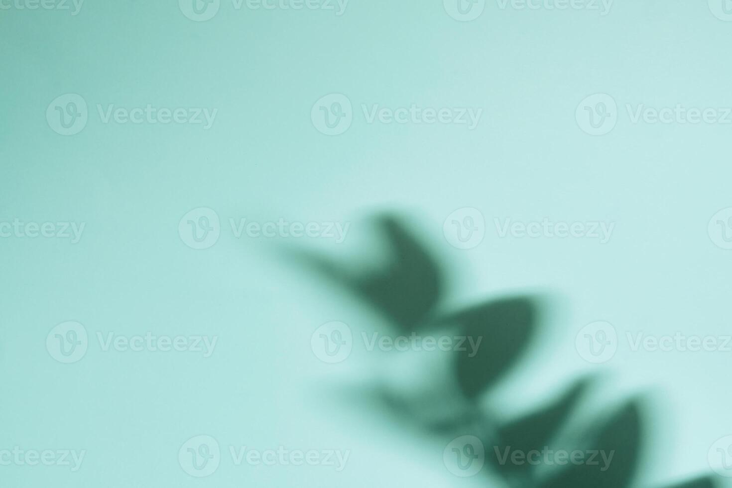 Natural shadow on gradient paper background. Abstract blue floral backdrop photo