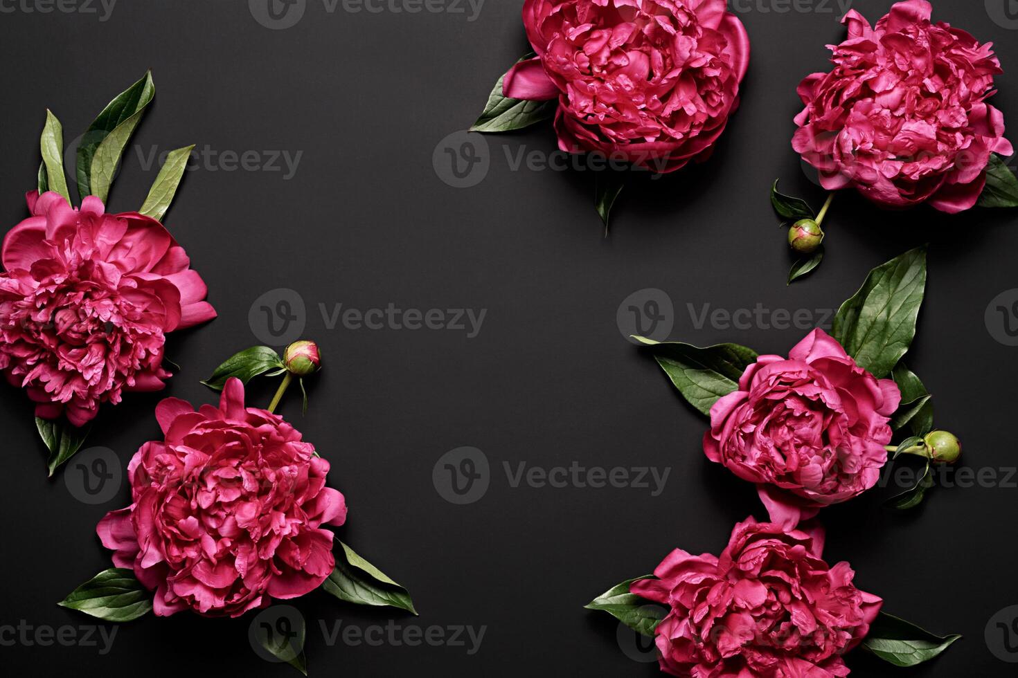 Beautiful purple peonies bouquet on black background, soft focus. Dark Spring or summer floral background. Festive flowers concept photo