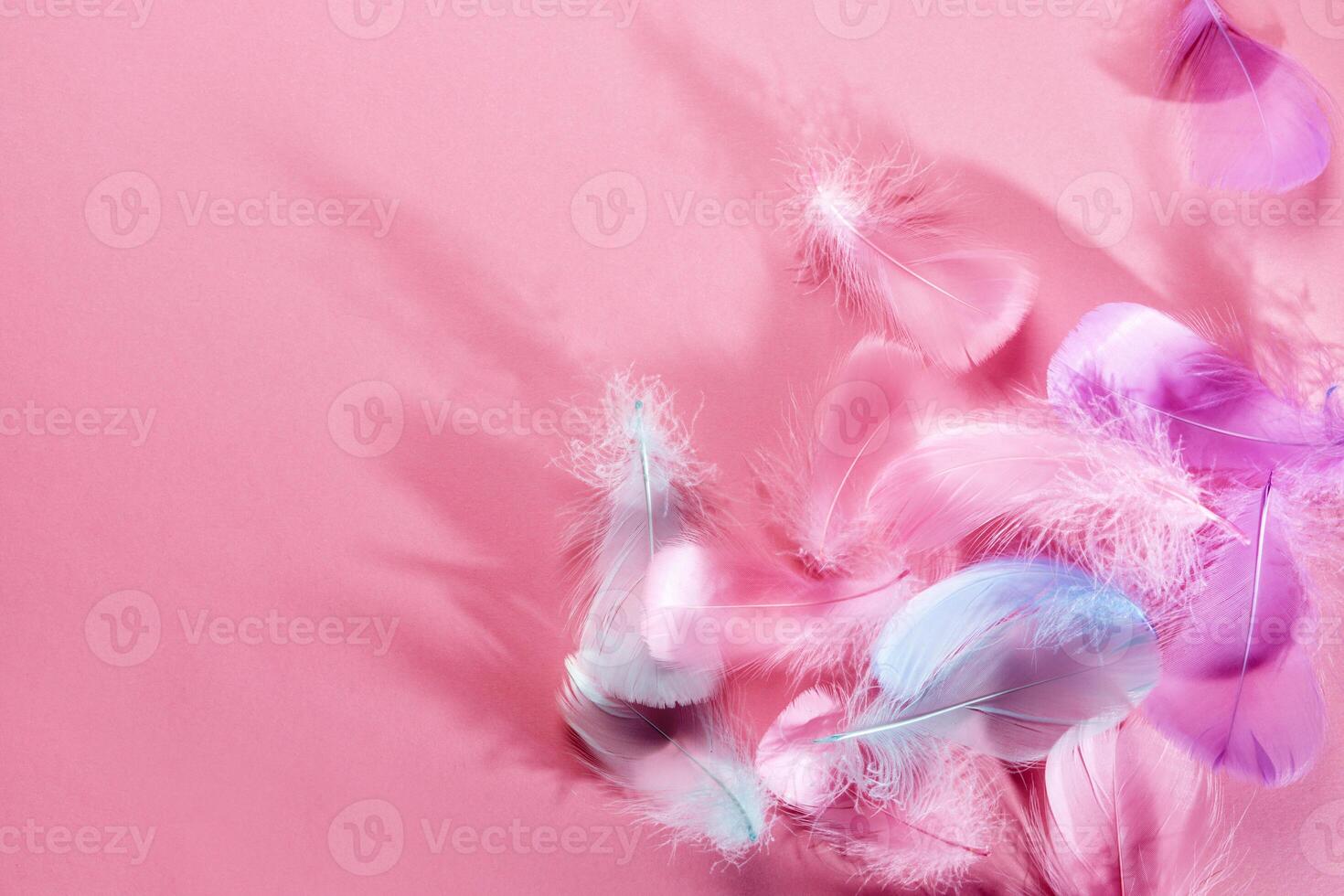 Abstract background with soft pink feathers and shadows, Flat lay, copy space photo