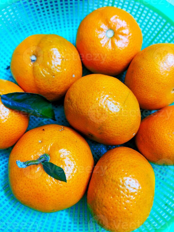 Oranges in a bowl. photo