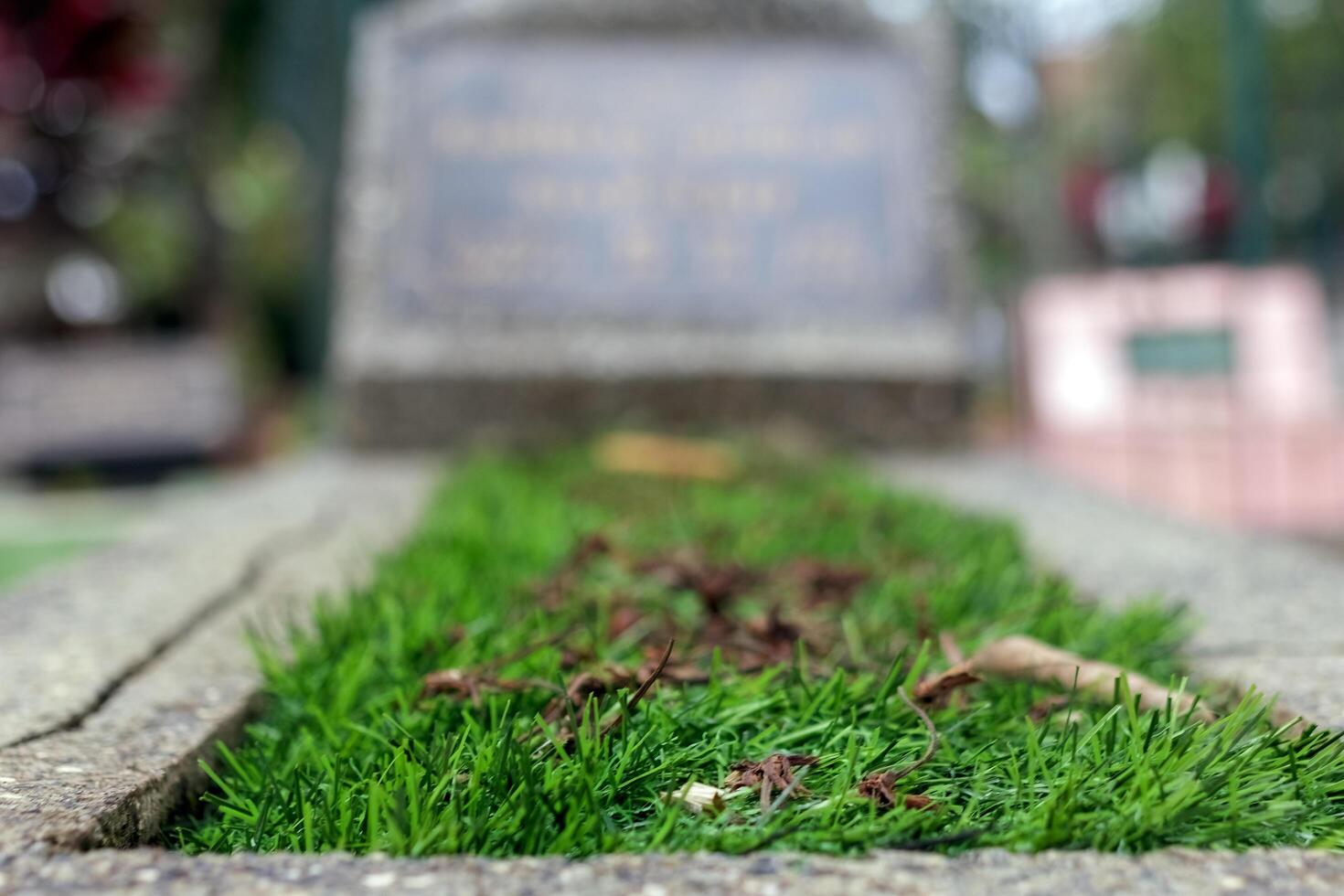 Closeup of a grave with green grass cover photo