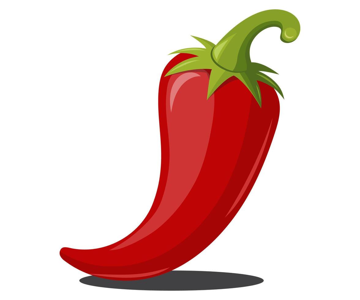 Red chili peppers Spicy ingredient isolated illustration vector