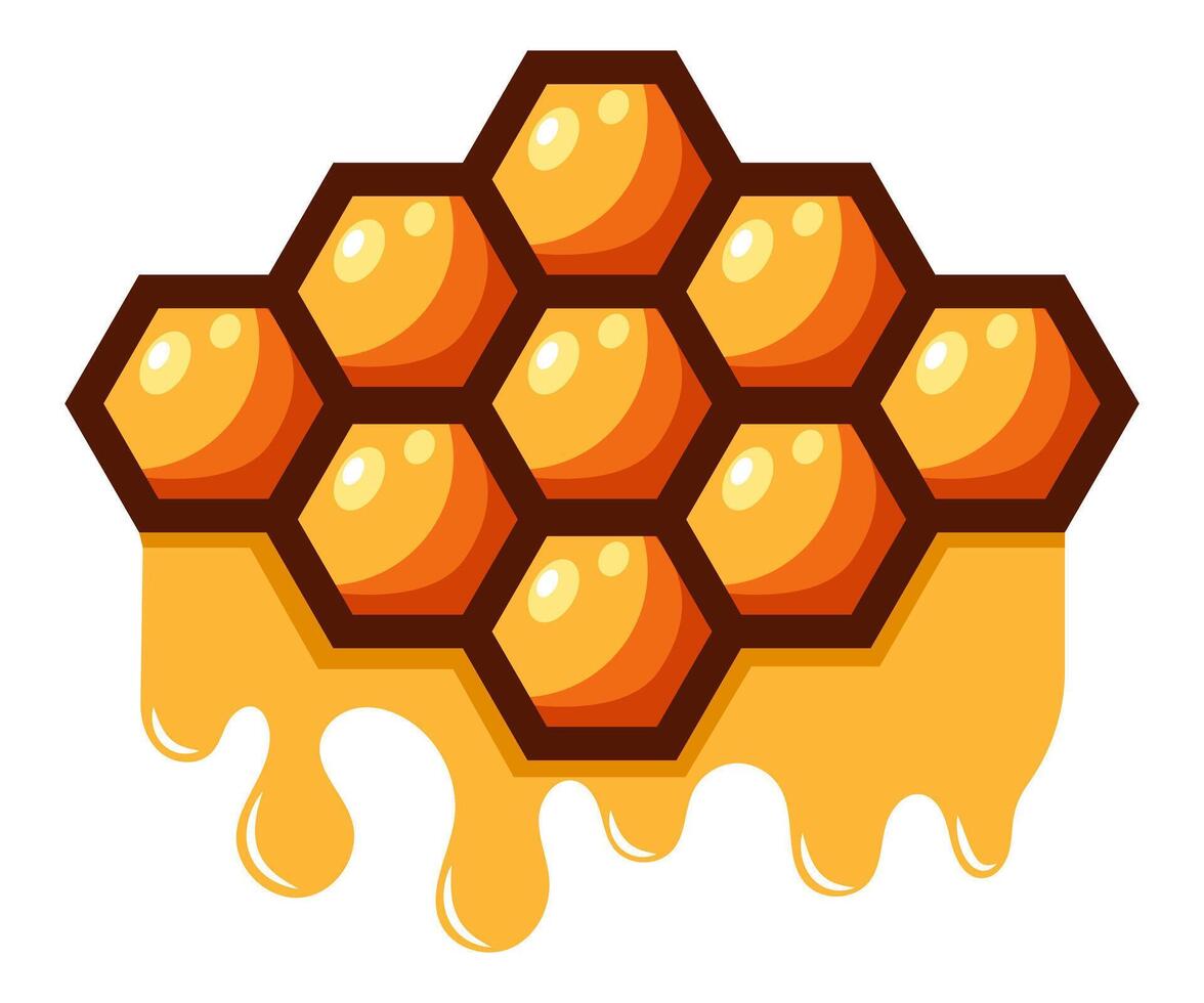 honey bee hexagon honeycomb shapes flat design illustration vector