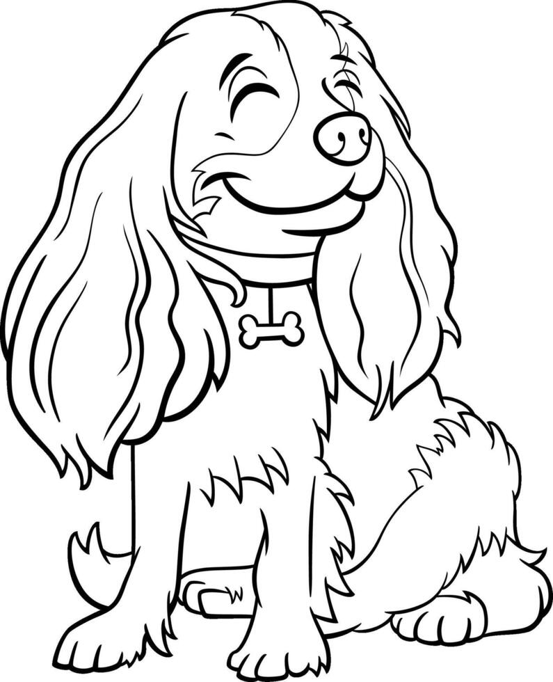 cartoon Cavalier King Charles Spaniel purebred dog coloring page vector
