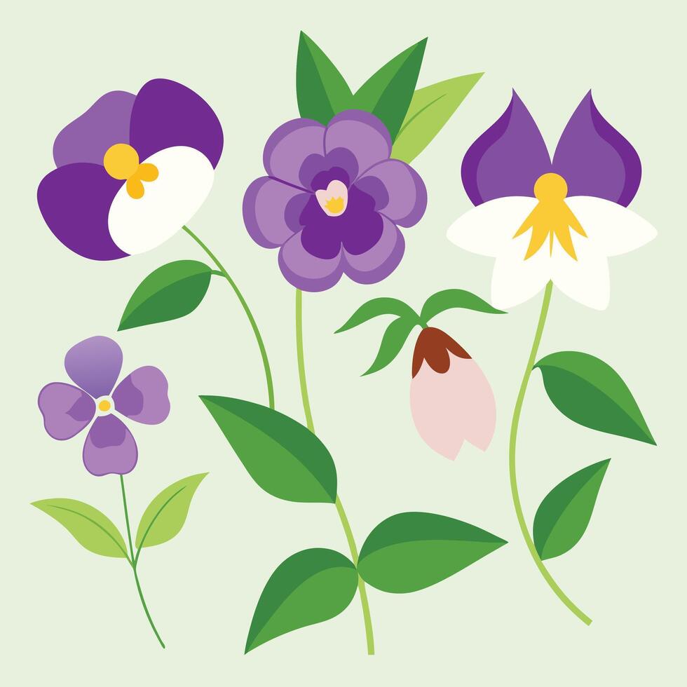 a set of purple and white flowers on a green background vector