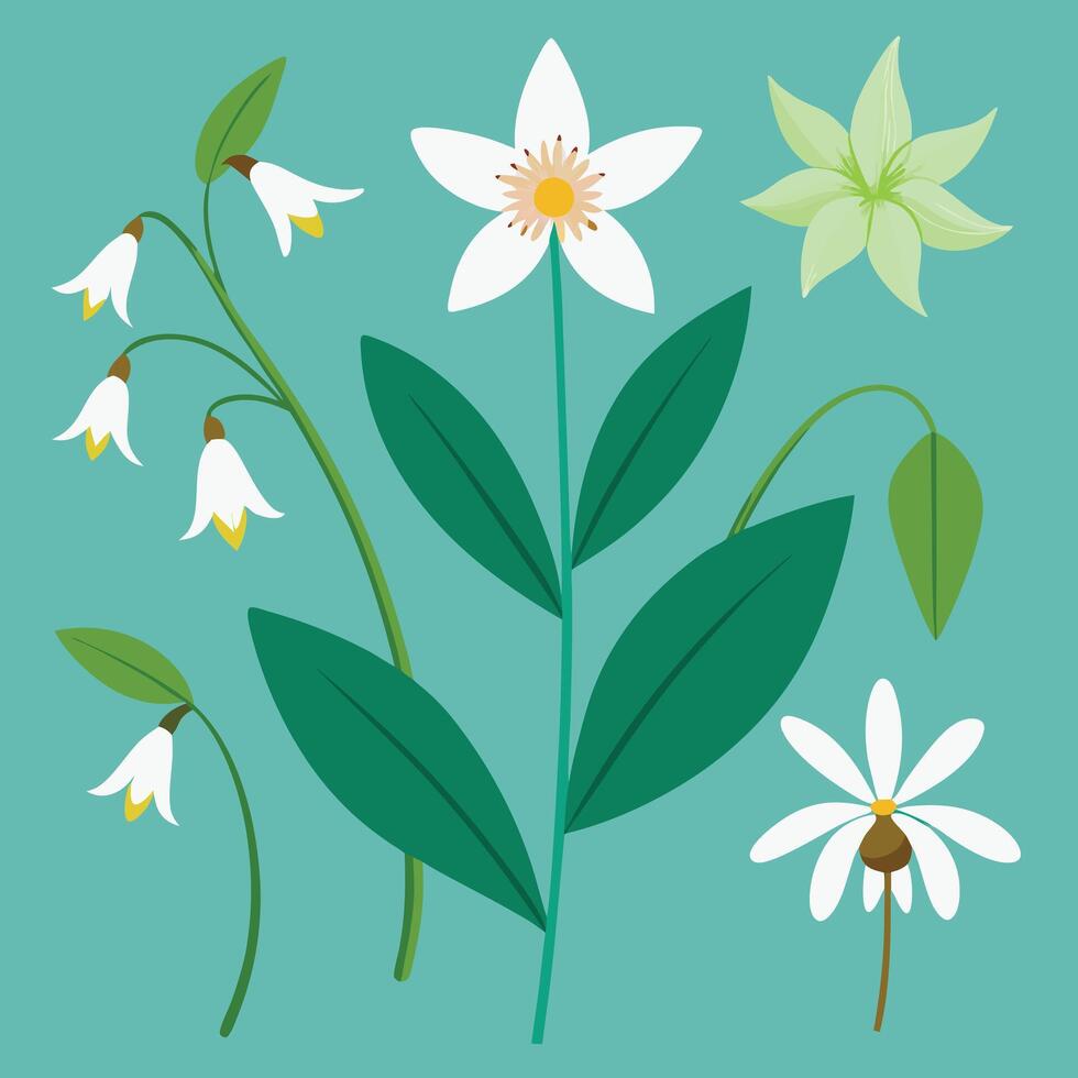 a set of flowers and leaves on a blue background vector