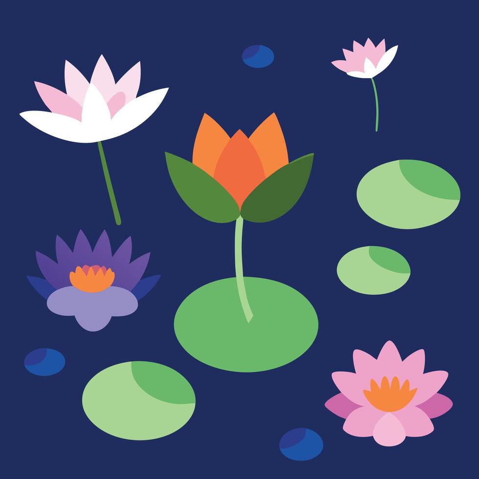 water lily flowers and leaves on a dark blue background vector