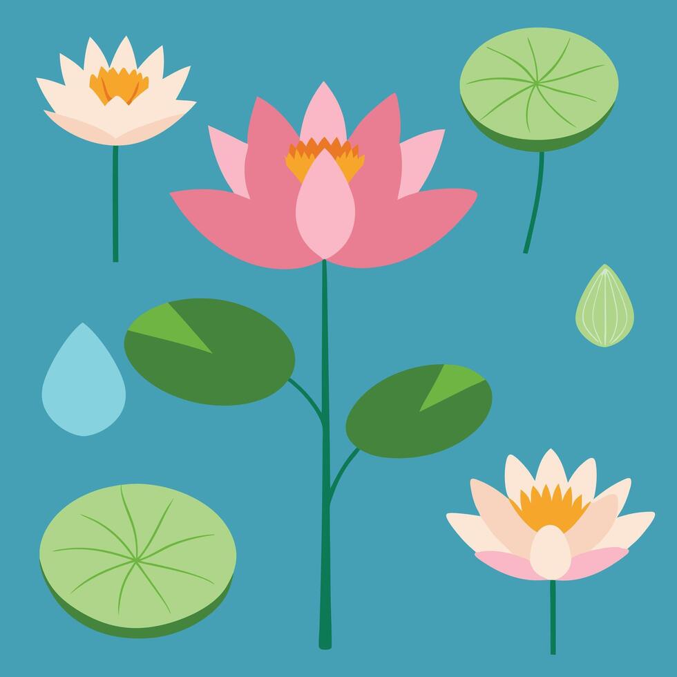 water lily flowers and leaves on a blue background vector