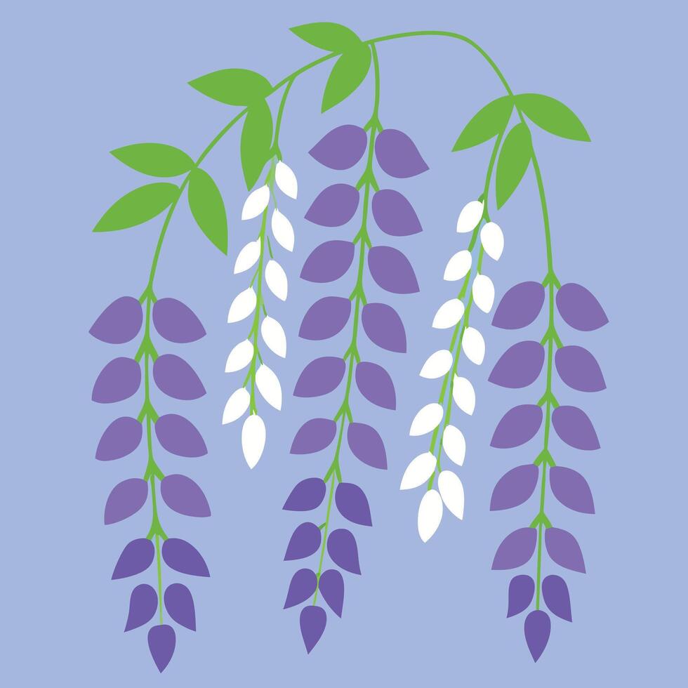 wisteria flower design vector