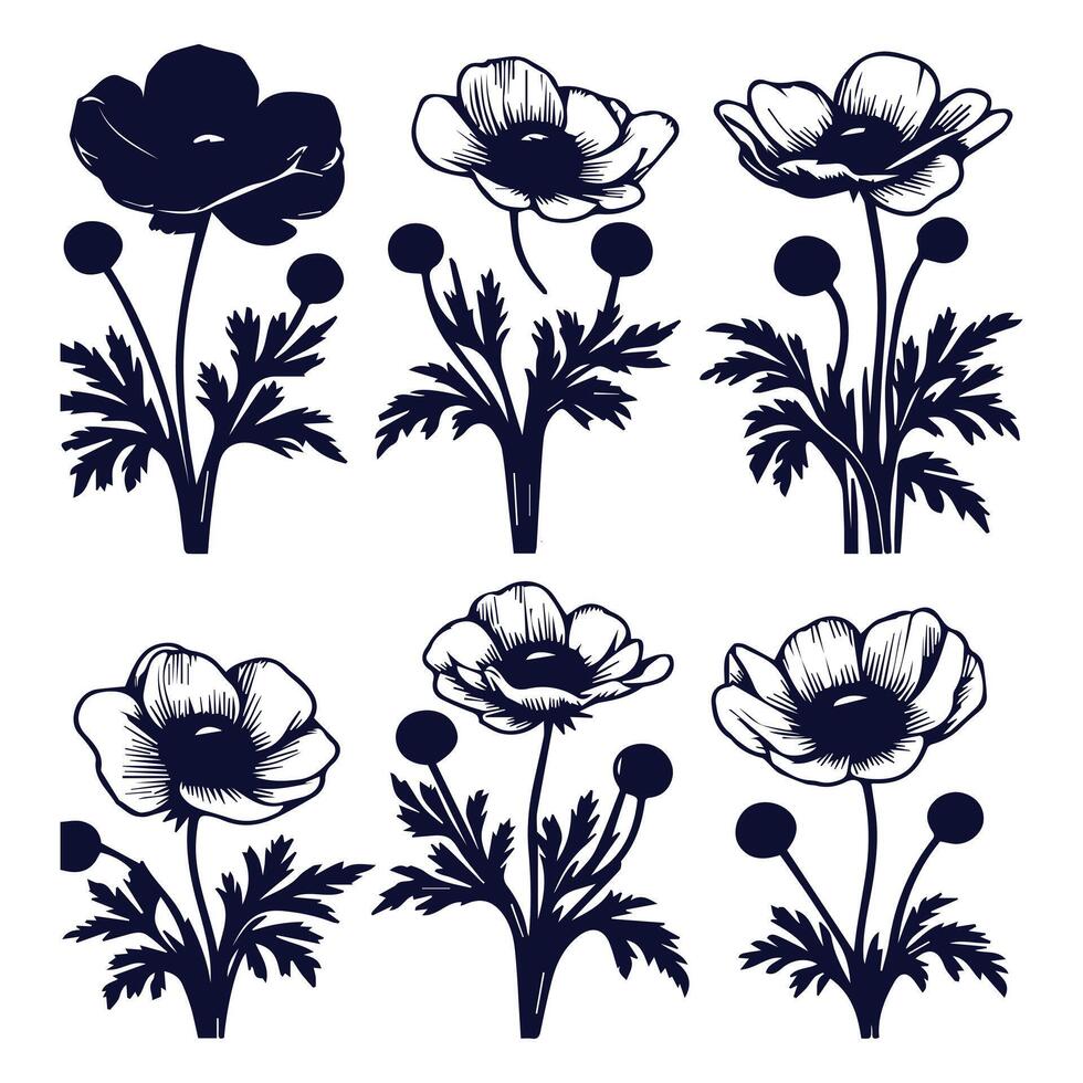 Various flowers set of silhouette design on a white background vector