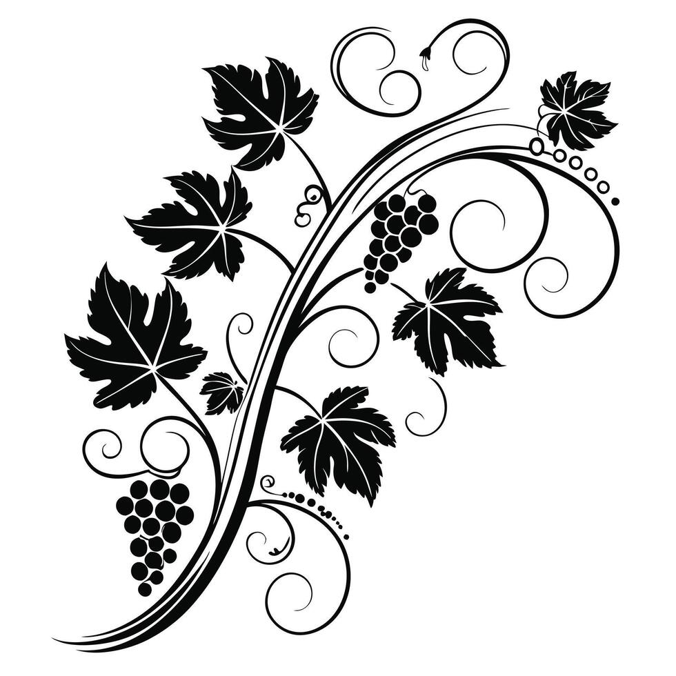 grape vine design vector