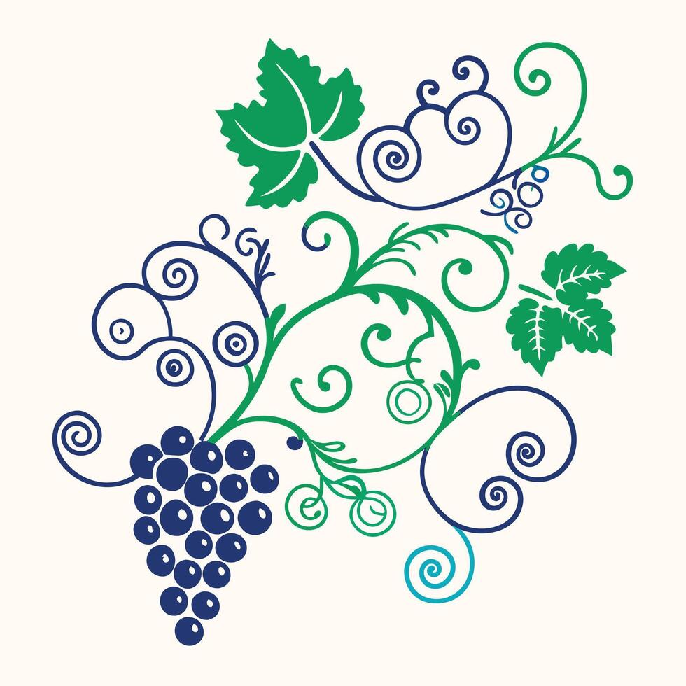 grape vine with leaves and grapes illustration on a white background vector