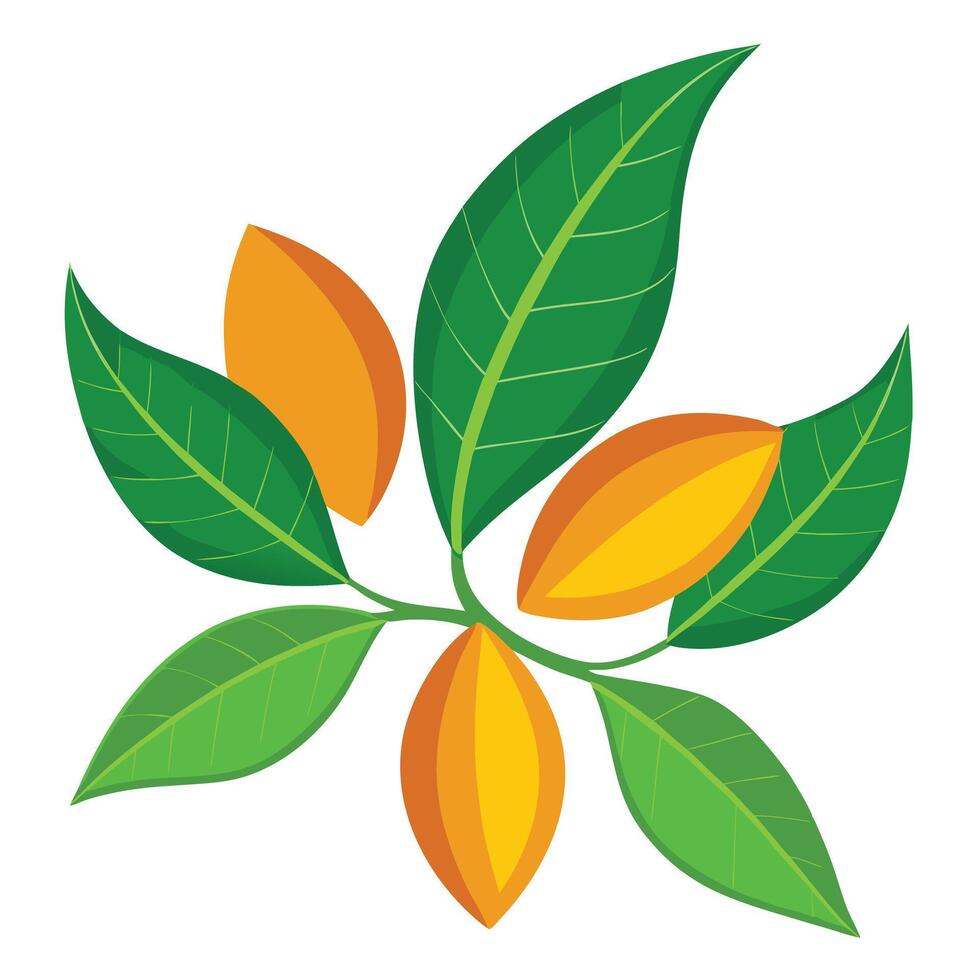 a branch with two nuts and leaves vector