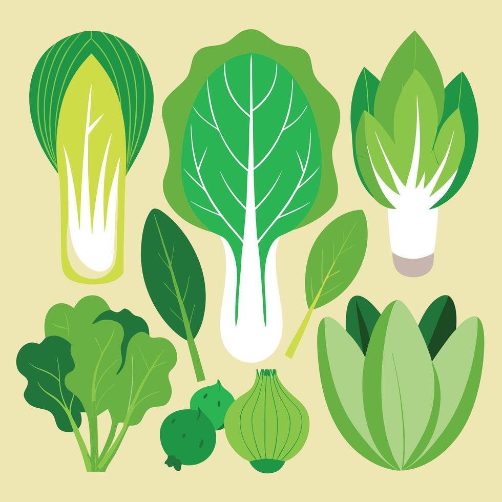 a set of vegetables including cabbage, broccoli, and other vegetables vector