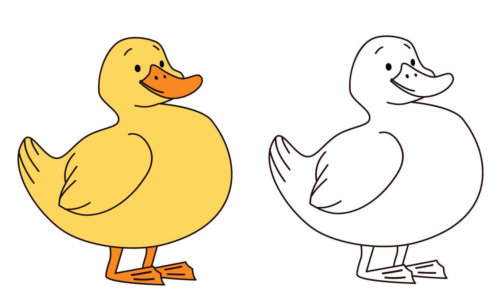 Flat illustration for children's coloring book. Cute duck in black and white and color version. Farm pets vector