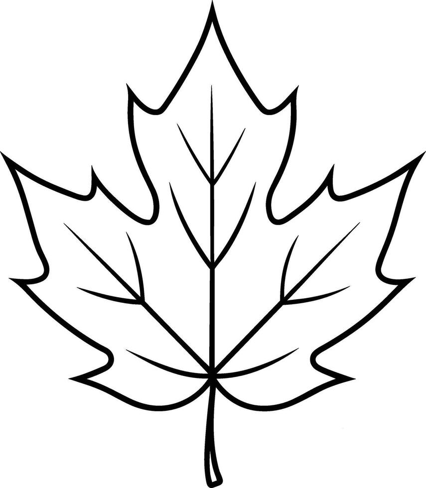 Maple Leaf Outline - Minimalist Botanical Illustration vector