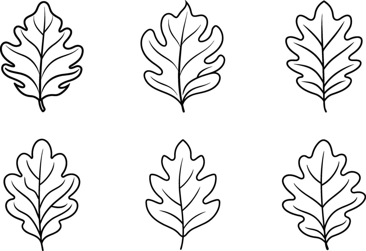 Set of Oak Leaf Outline Vectors - Hand-Drawn Botanical Collection