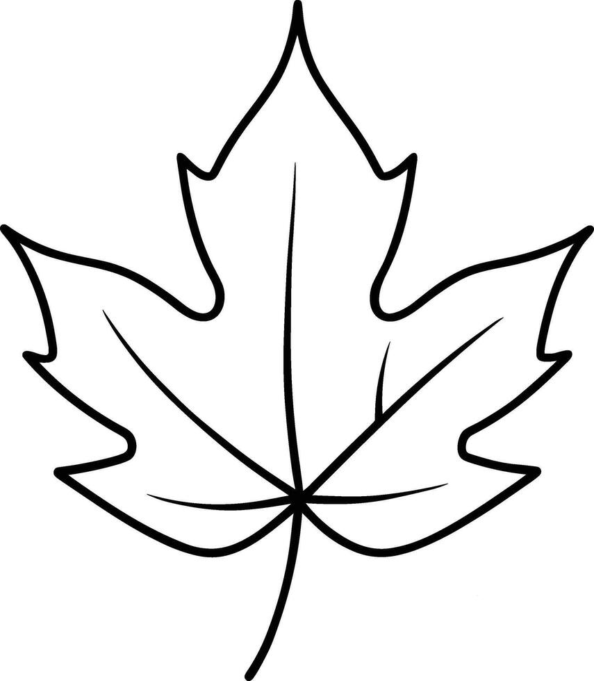 Minimalist Maple Leaf Outline - Hand-Drawn Illustration vector