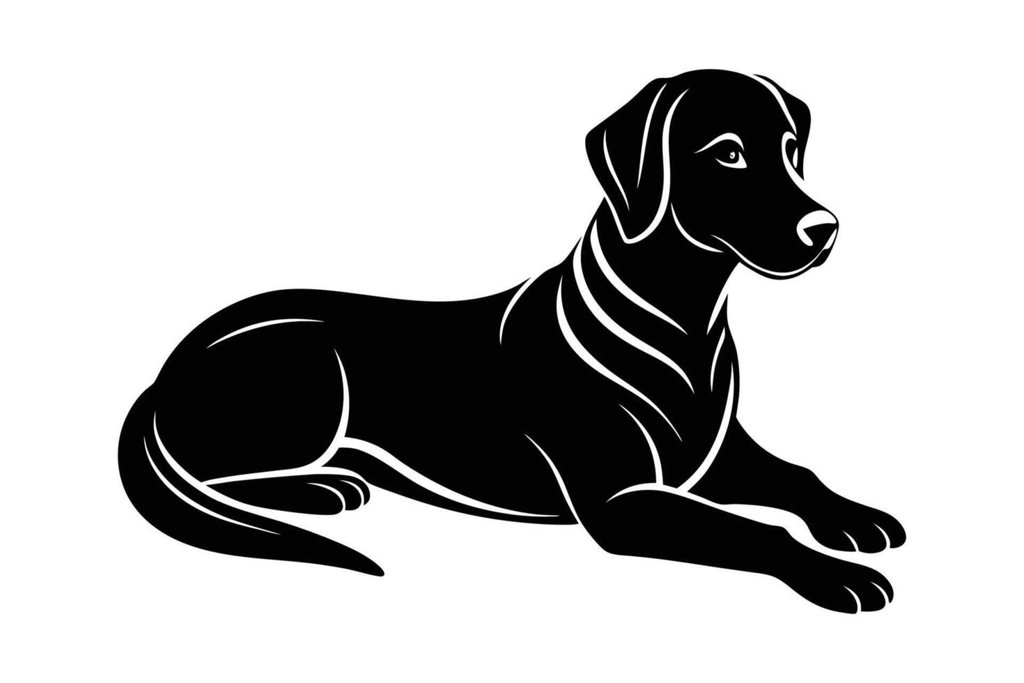 Black and white dog sitting on a white background vector