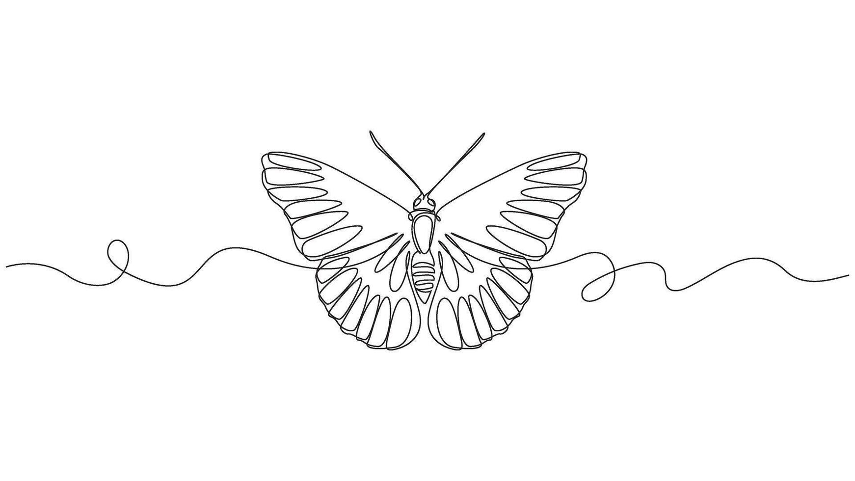 Single Line Delicate Butterfly Drawing on White Background Simplicity design vector