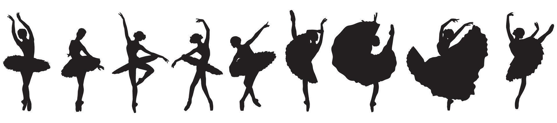Elegant silhouettes of ballerinas in different poses against a white background vector