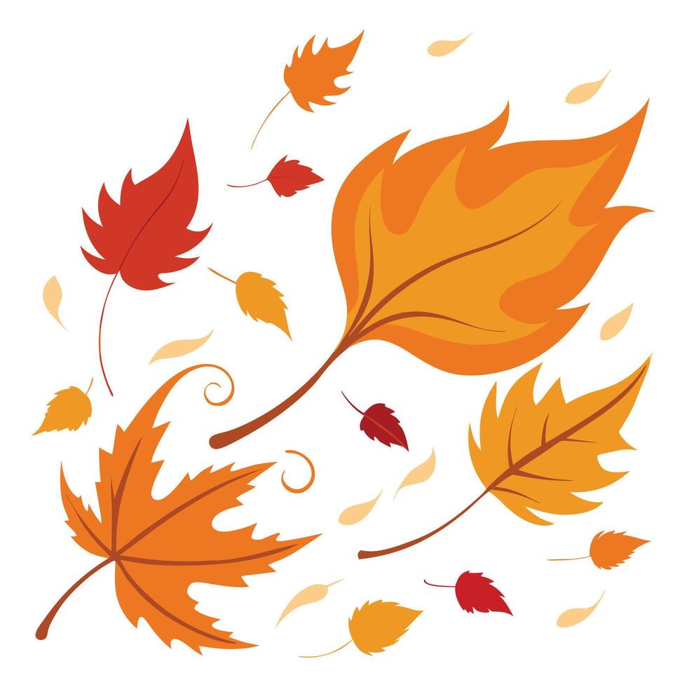 autumn leaves in the wind in white background. vector
