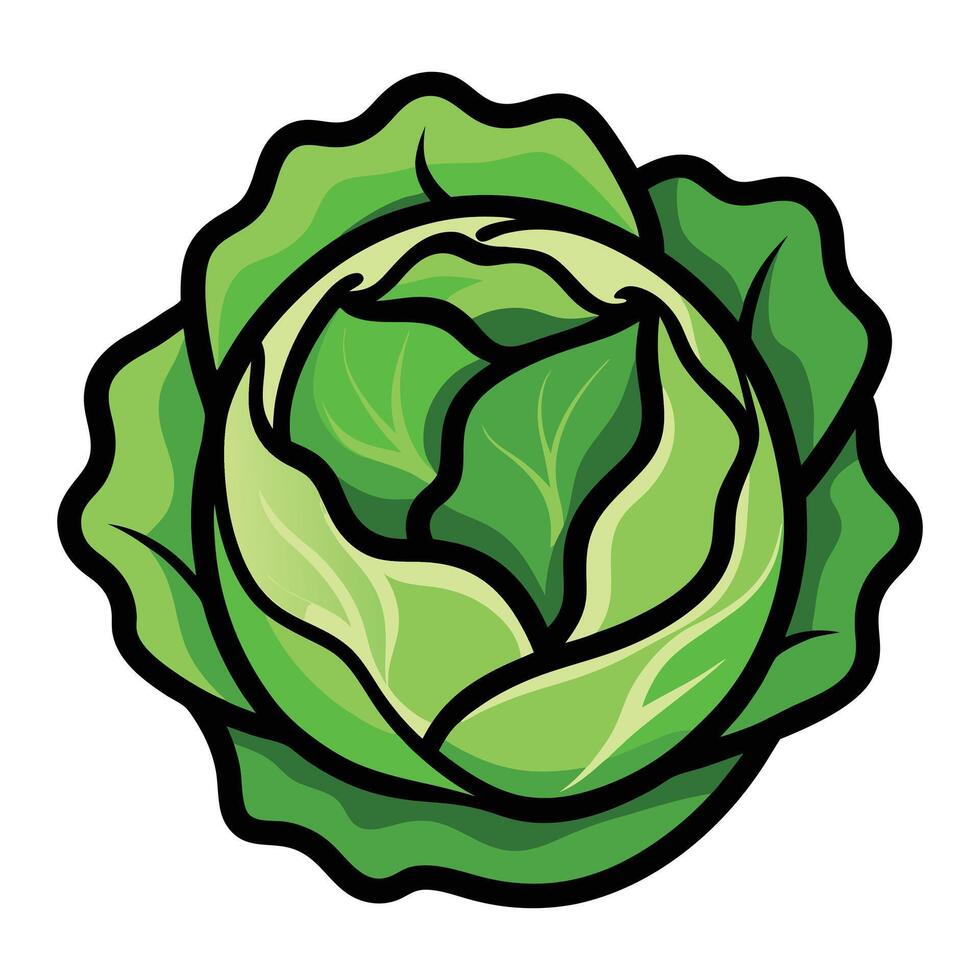 a cartoon cabbage head black outline on a white background vector