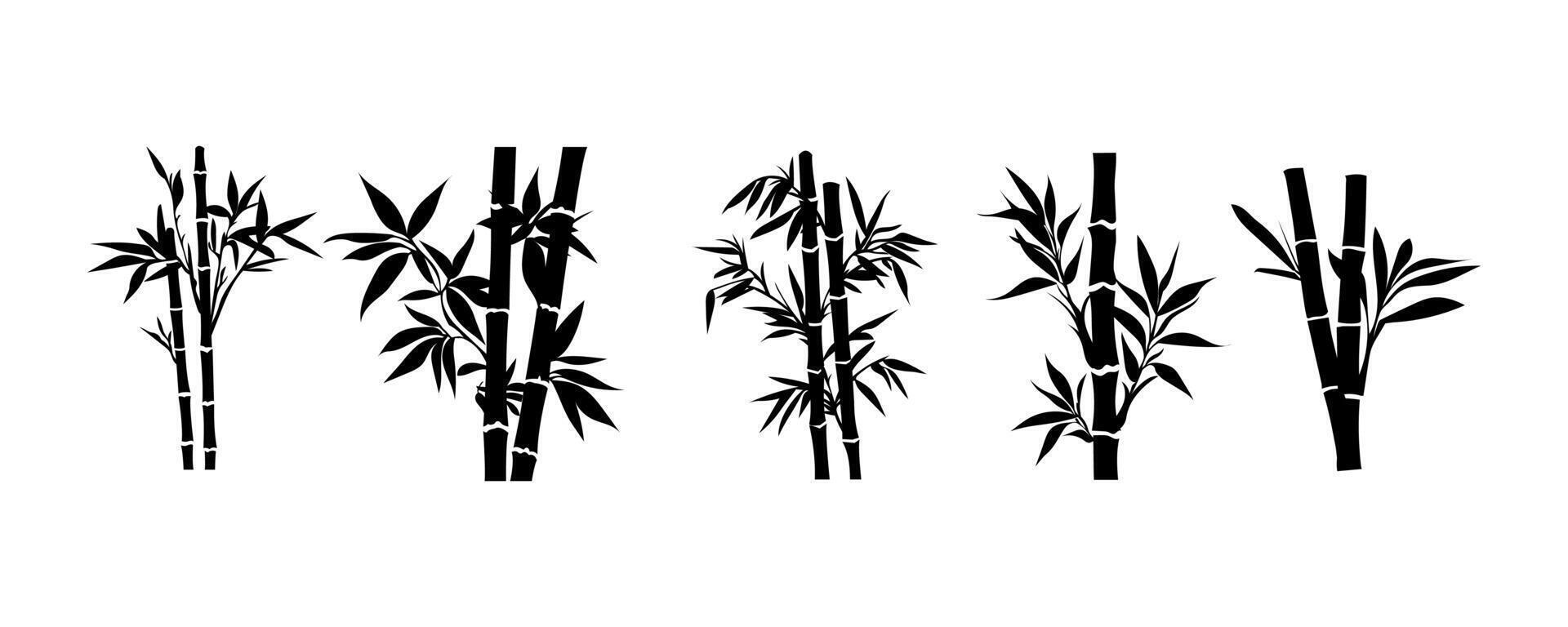 Silhouette Bamboo Plants Asian Nature Botanical Illustrations vector
