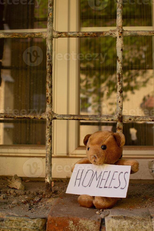 The teddy bear who lost his nose and his house photo