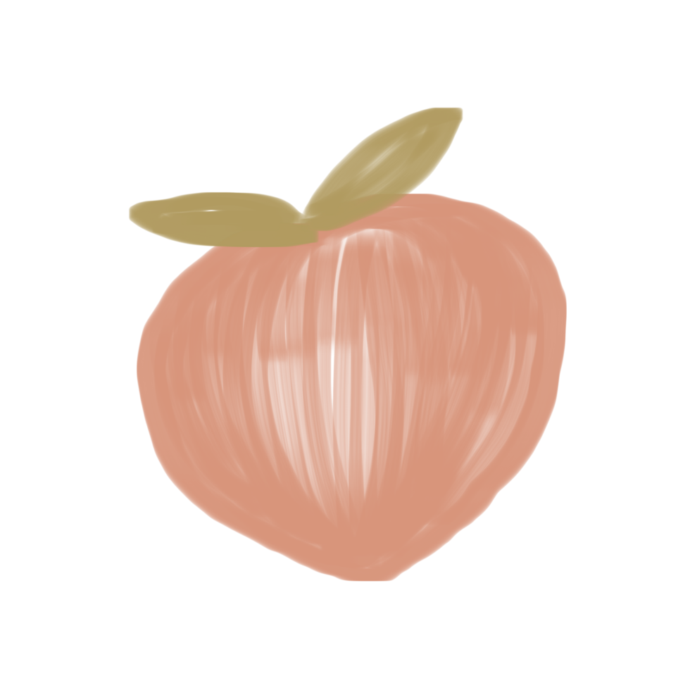 peach food illustration png
