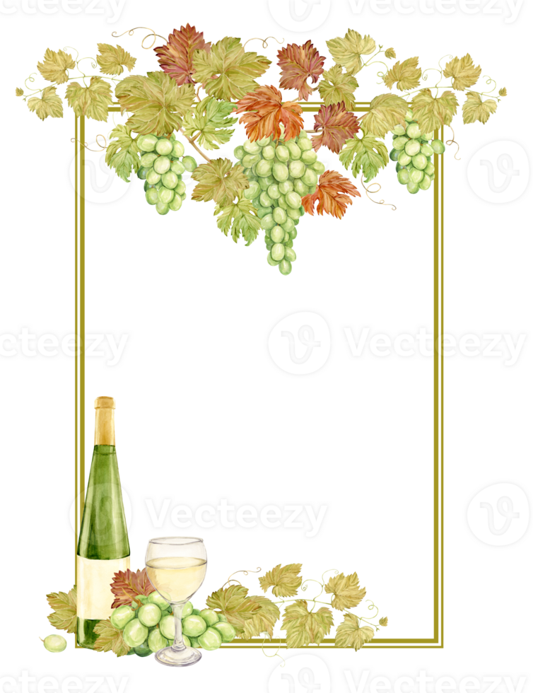 Watercolor vertical frame with grapes, wine bottle and glass. Illustration of grapevine, green berries and leaves. Frame for white wine, jam, juice label. Clipart for wine, cafe, restaurant. png