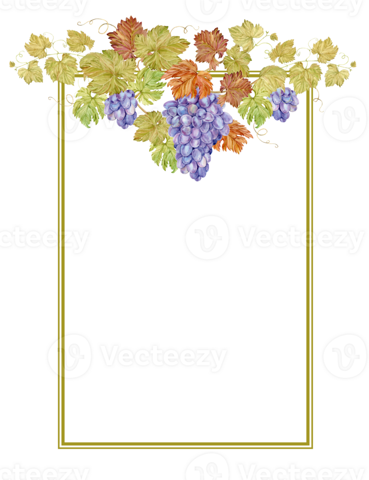Watercolor vertical frame with grapes. Illustration of grapevine, purple berries and leaves. Frame for wine, jam, juice label. Clipart for wine, cafe, restaurant. png