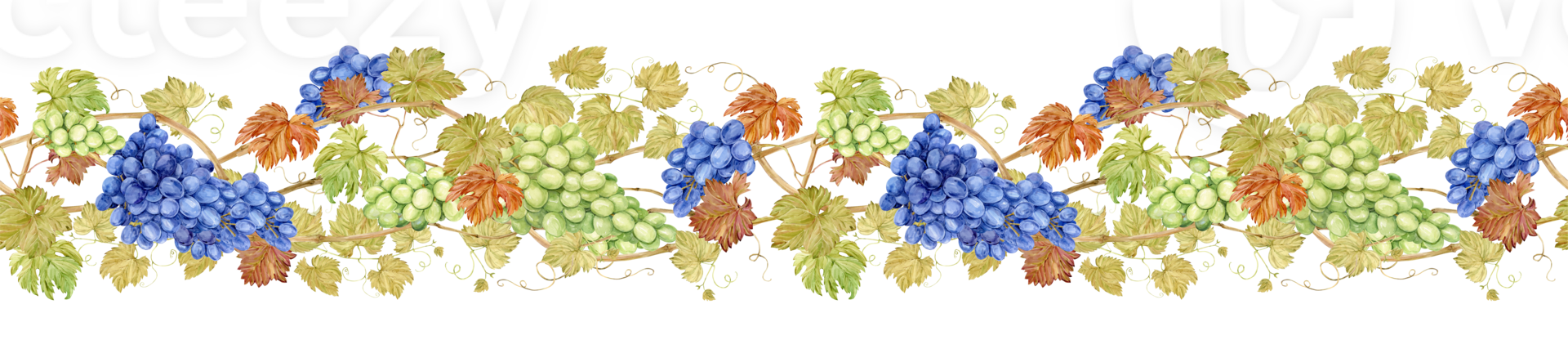 Horizontal pattern of grapevine, foliage, blue and green berries. Watercolor illustration in retro style. Clipart for wine label design in retro style. Seamless border of intertwined grape branches. png