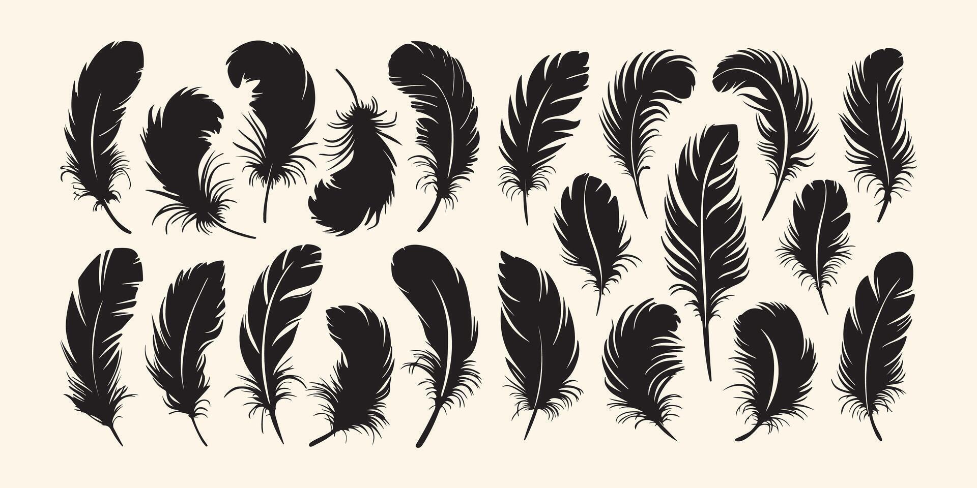 Feather silhouette and bird feather icon set vector